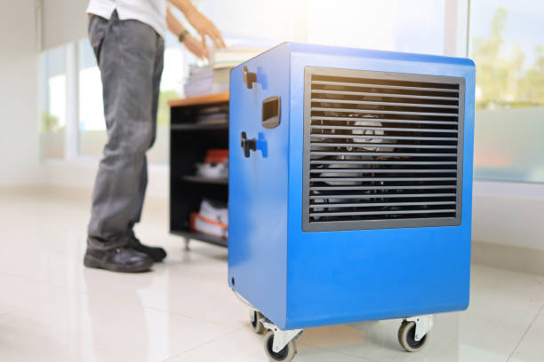 Dehumidification Services in Cologne, NJ